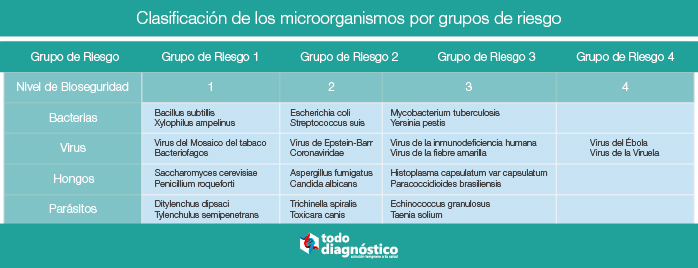 Seguridad biológica en el laboratorio: clasificación de los microorganismos por grupos de riesgo
