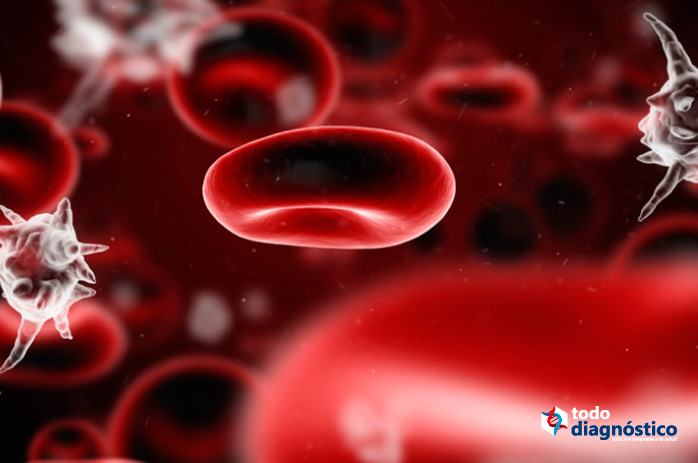 Cuándo se debe realizar un hemocultivo: sepsis, infección en el torrente sanguíneo