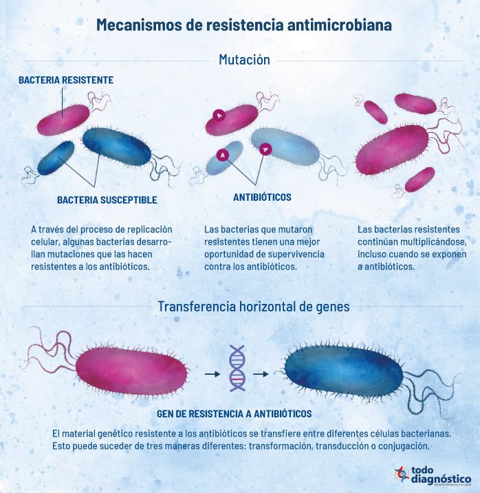 Mecanismos de resistencia antimicrobiana