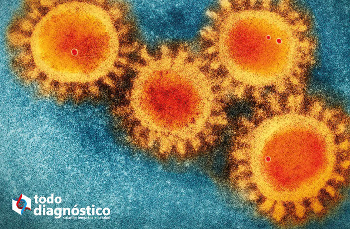 imagen de microscopio de coronavirus