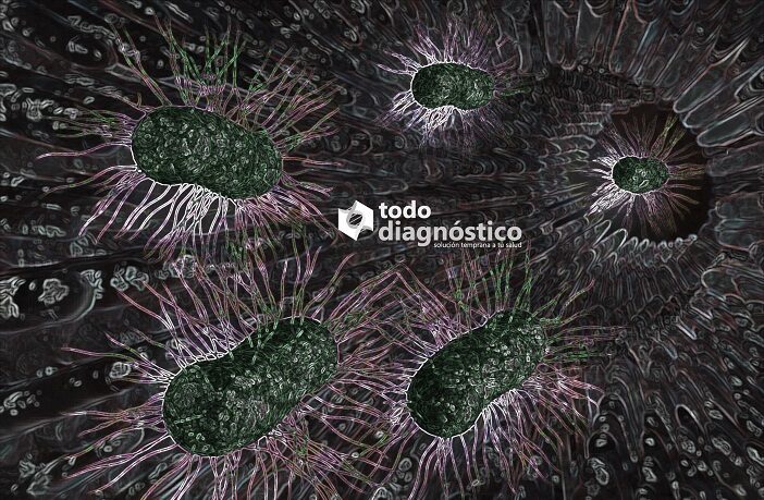 SIBO: sobrecrecimiento bacteriano en intestino delgado y sus implicaciones