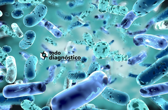 crecimiento de bacterias en el intestino delgado