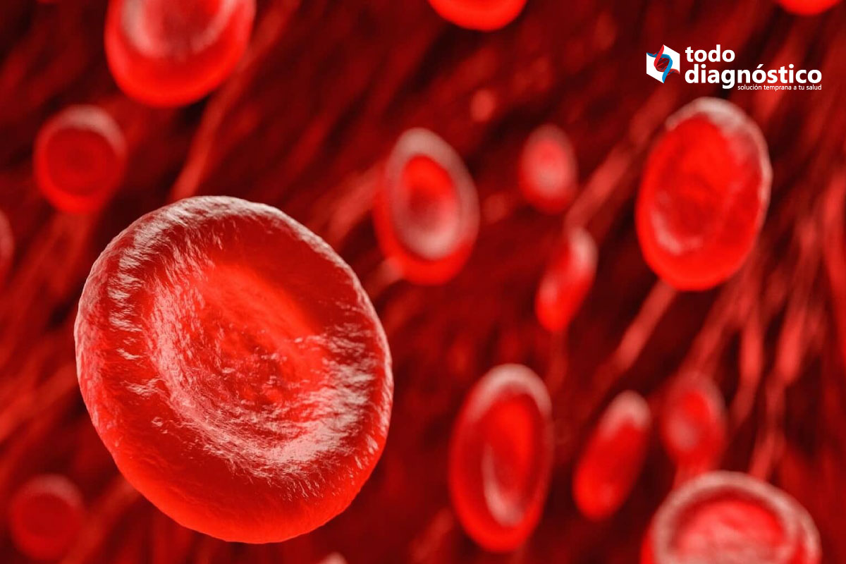10 pasos clave para la recolección de muestras de sangre para hemocultivos